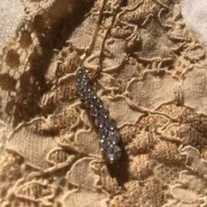 Diamond Journey Pendant